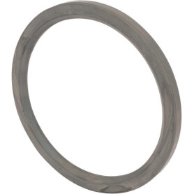 Bague SPICER DANA 245955N