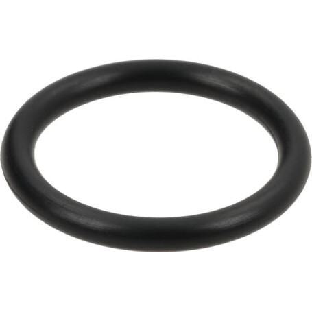 Bague SPICER DANA 7380700901