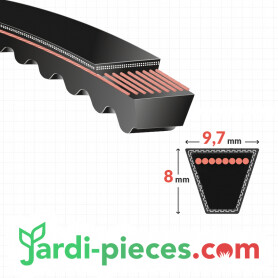 Courroie Transmission MAC GARDA CA 534 W TR-E 4S (2009-2011)