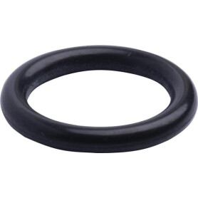 Bague SPICER DANA 3015022X1N