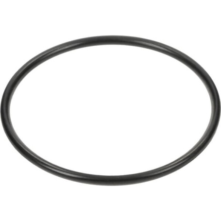 Bague SPICER DANA 3019943X1N