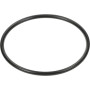 Bague SPICER DANA 3019943X1N
