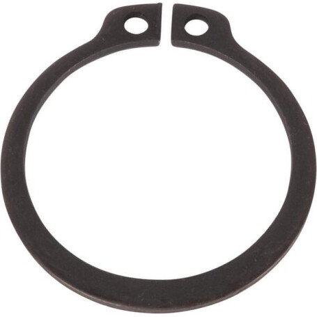 Bague CNH 9840045