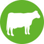 Seringue automatique HENKE 3605130110