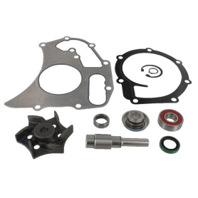Kit de réparation de pompe à eau MASSEY FERGUSON 4225070M91