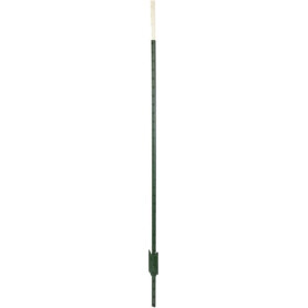 Piquet AKO 441462