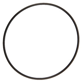 Bague LEMKEN 3751258