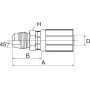 Raccord GATES 6G6MS
