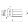 Raccord GATES 8G8MBSPT