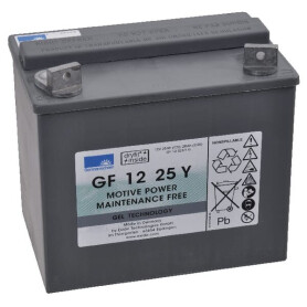 Batterie SONNENSCHEIN DF12V30