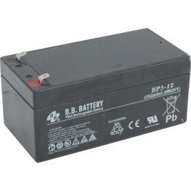 Batterie TORO 1063995