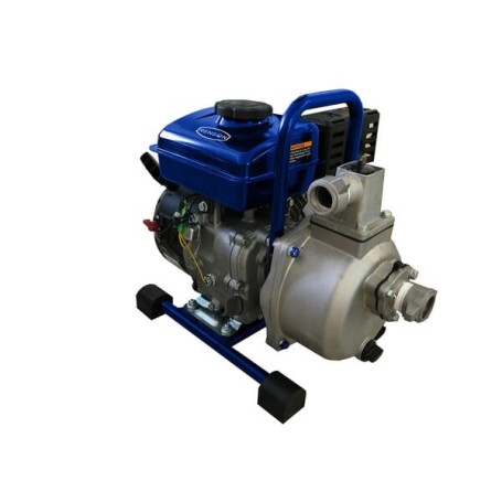Motopompe RENSON 980500