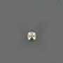 Bille BONDIOLI/6PAVESI 362004000R25