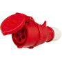 Raccord BALS B003136