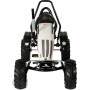 Kart pour enfants DINO CARS DC66980BF3