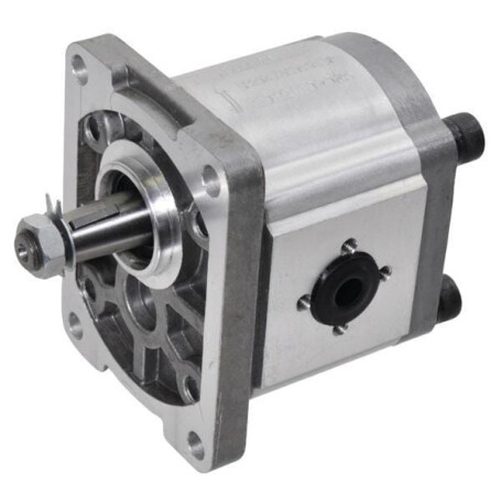 Pompe à engrenages GOPART GP206D3030C18EGP