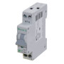 Disjoncteur de protection de ligne 16A EATON PLN6C161N