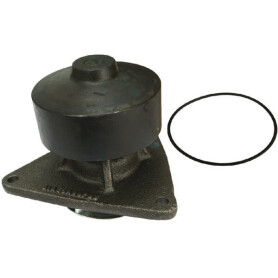 Pompe à eau VAPORMATIC VPE1139