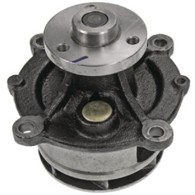 Pompe à eau VAPORMATIC VPE1166