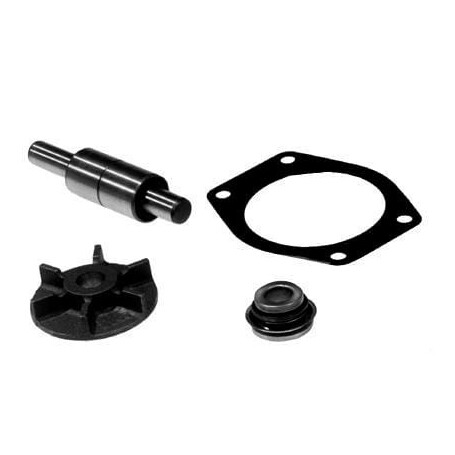 Kits de réparation de pompe à eau VAPORMATIC VPE2011