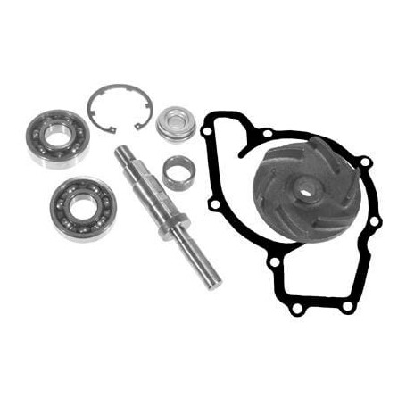 Kits de réparation de pompe à eau VAPORMATIC VPE2030