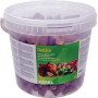 Friandise pour chevaux pomme KERBL VV7811