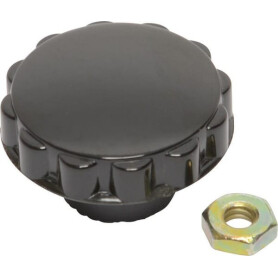 Bouton BRIGGS ET STRATTON 391908