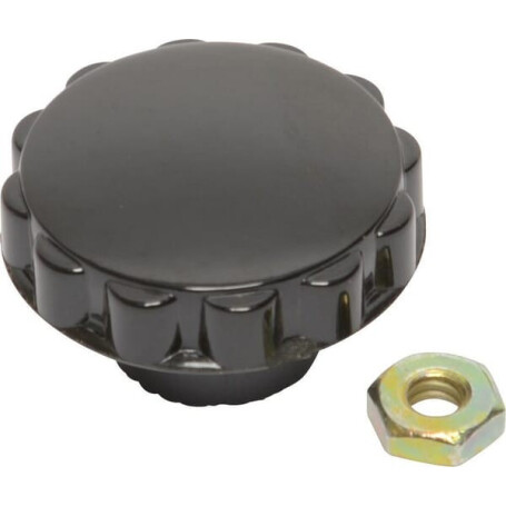 Bouton BRIGGS ET STRATTON 391908