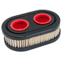 Filtre BRIGGS ET STRATTON, ARNOLD 3111-B1-0080