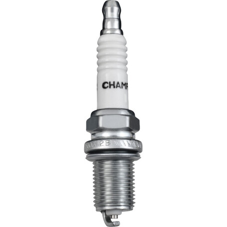 Bougie BRIGGS ET STRATTON, ARNOLD, NGK 3121-C5-0031