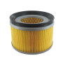 Filtre LOMBARDINI 2175-268, 2175268