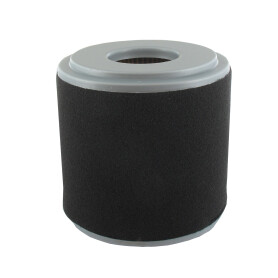 Filtre HONDA 17210-Z0V-781, 17210Z0V781
