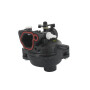 Carburateur BRIGGS ET STRATTON 595656, 591979