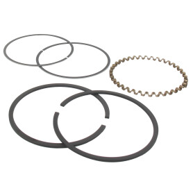 Segments standard ROBIN 226-23501-07, 2262350107