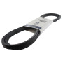 Courroie lisse trapézoïdale AYP AY589530701