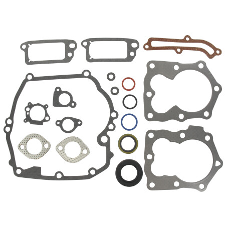 Pochette joints BRIGGS ET STRATTON 590508, 794307