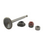 Soupape d'admission BRIGGS ET STRATTON 594094
