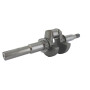 Vilebrequin BRIGGS ET STRATTON 797018, 691451, 694442