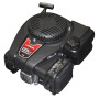 Moteur type LONCIN LON-LC1P65F