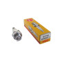 Bougie d'allumage ECHO, NGK NGBPMR8Y5