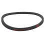 Courroie de marche avant de motoculteurs et motobineuses STIGA PL39019