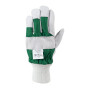 Gants UNIVERSEL 9805051