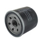 Filtre LONCIN LON150350046-0002