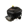 Moteur BRIGGS ET STRATTON MBS31R977-0054