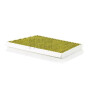 Filtre de cabine MANN-FILTER FP34611