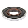 Cache DAL-BO 80838