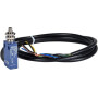 Interrupteur SCHNEIDER-ELECTRIC XCMD21F0L1