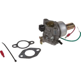 Carburateur KOHLER 4285303S