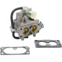 Carburateur KOHLER 24853220S