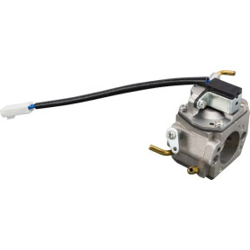 Carburateur SOLO 12210